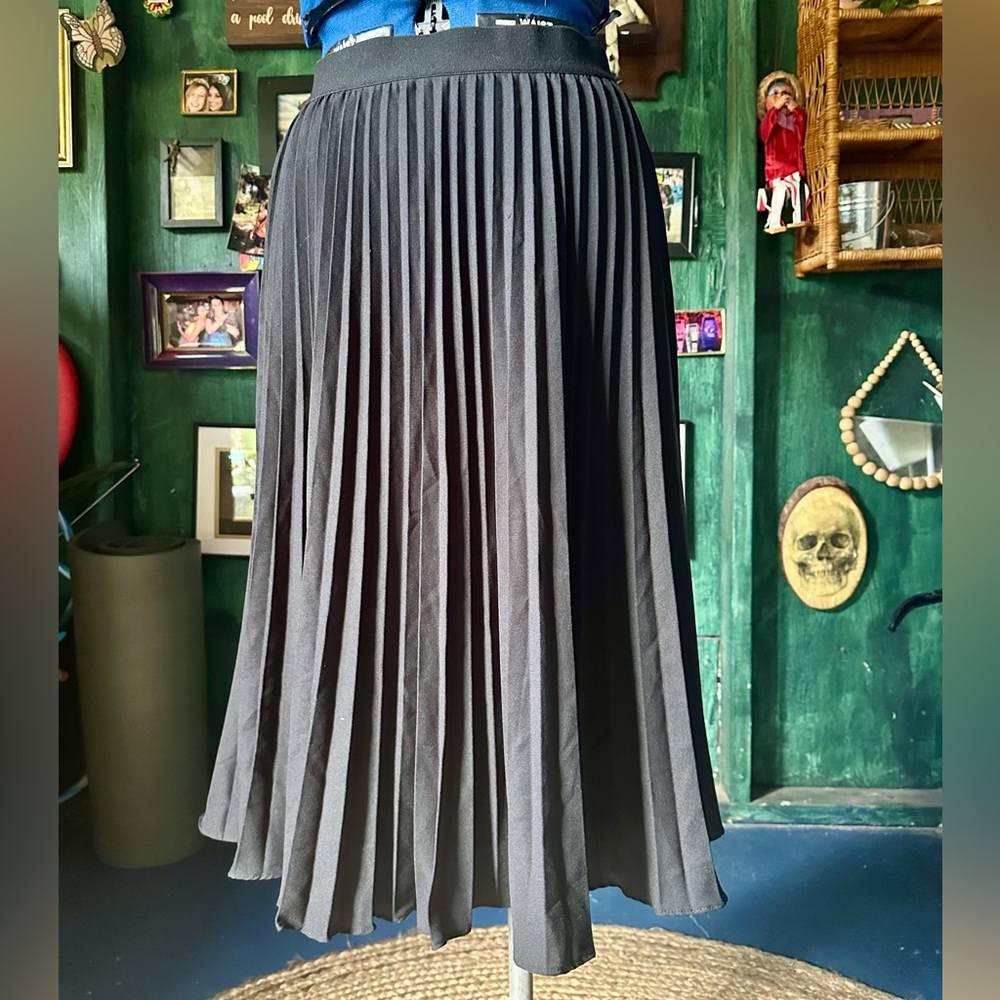 NWOT Kate Kasin High Waist Pleated A-Line Swing Skirt